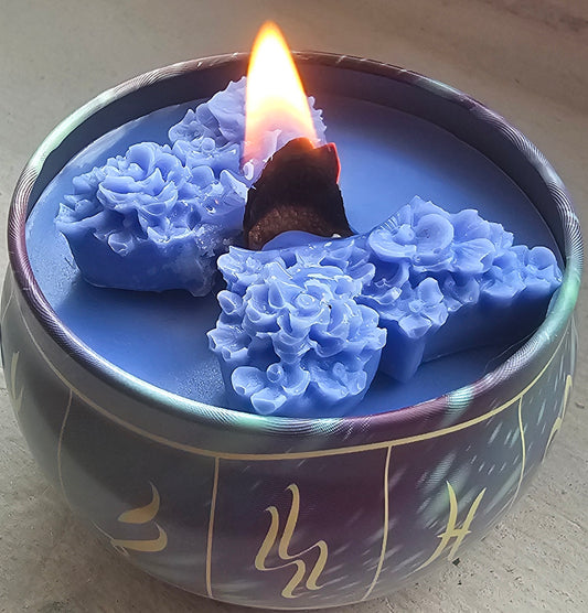 Velas Aromáticas Variadas – Diferentes Modelos y Aromas para Regalo Especial
